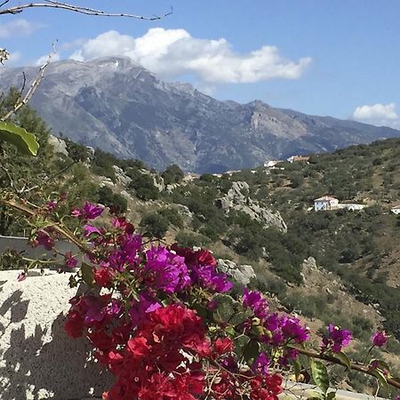 Loma Los Pelones 78 Viñuela Екстериор снимка