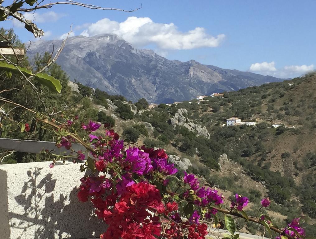 Loma Los Pelones 78 Viñuela Екстериор снимка